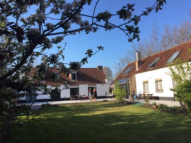 Albatros Bed & Breakfast Koksijde Exterior photo